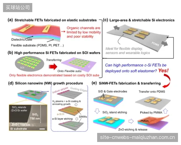 Atomic安纳西中心攻克技术壁垒，实现二氧化硅烧结工艺在AmerSports集团内的首次共享